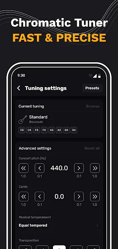 Tuning settings with advanced pitch correction in Hz, calibration controls and equal temperament fine-tuning