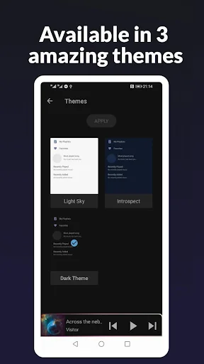 Theme selection menu showing 3 customizable themes - Light Sky, Introspect, and Dark Theme options for music player app