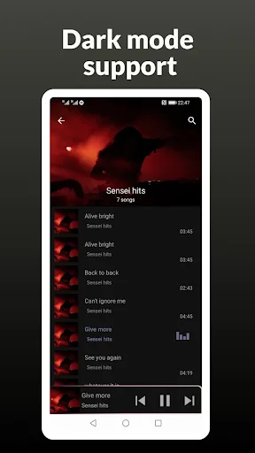 Dark mode playlist view showing Sunset Hits album with track listing and playback controls in red-themed interface