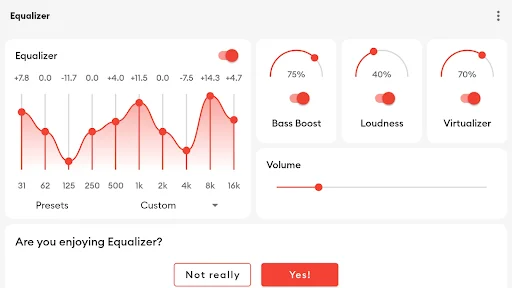 Complete equalizer interface with 10 frequency bands, bass boost, loudness, virtualizer and user rating prompt