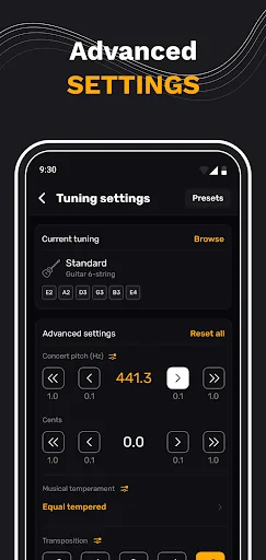 Advanced tuning settings screen with pitch correction frequency adjustment at 441.3 Hz and cents calibration controls