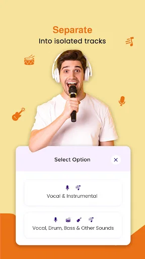 Separation options dialog menu selecting between Vocal & Instrumental or Vocal, Drum, Bass & Other Sounds track isolation