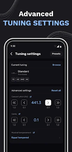 Advanced tuning settings showing Standard tuning preset, concert pitch control at 441.3 Hz, and capo adjustment options